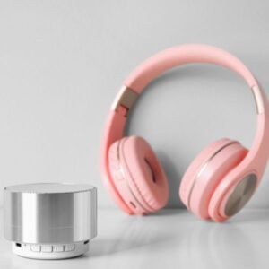 Speakers / Headphones